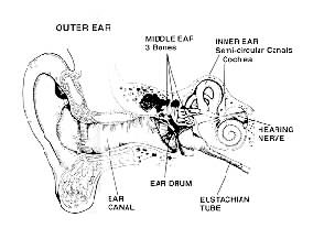 ear altitude